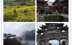 AG8亚洲国际游戏集团_首页官网