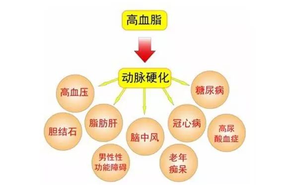 AG8亚洲国际游戏集团_首页官网